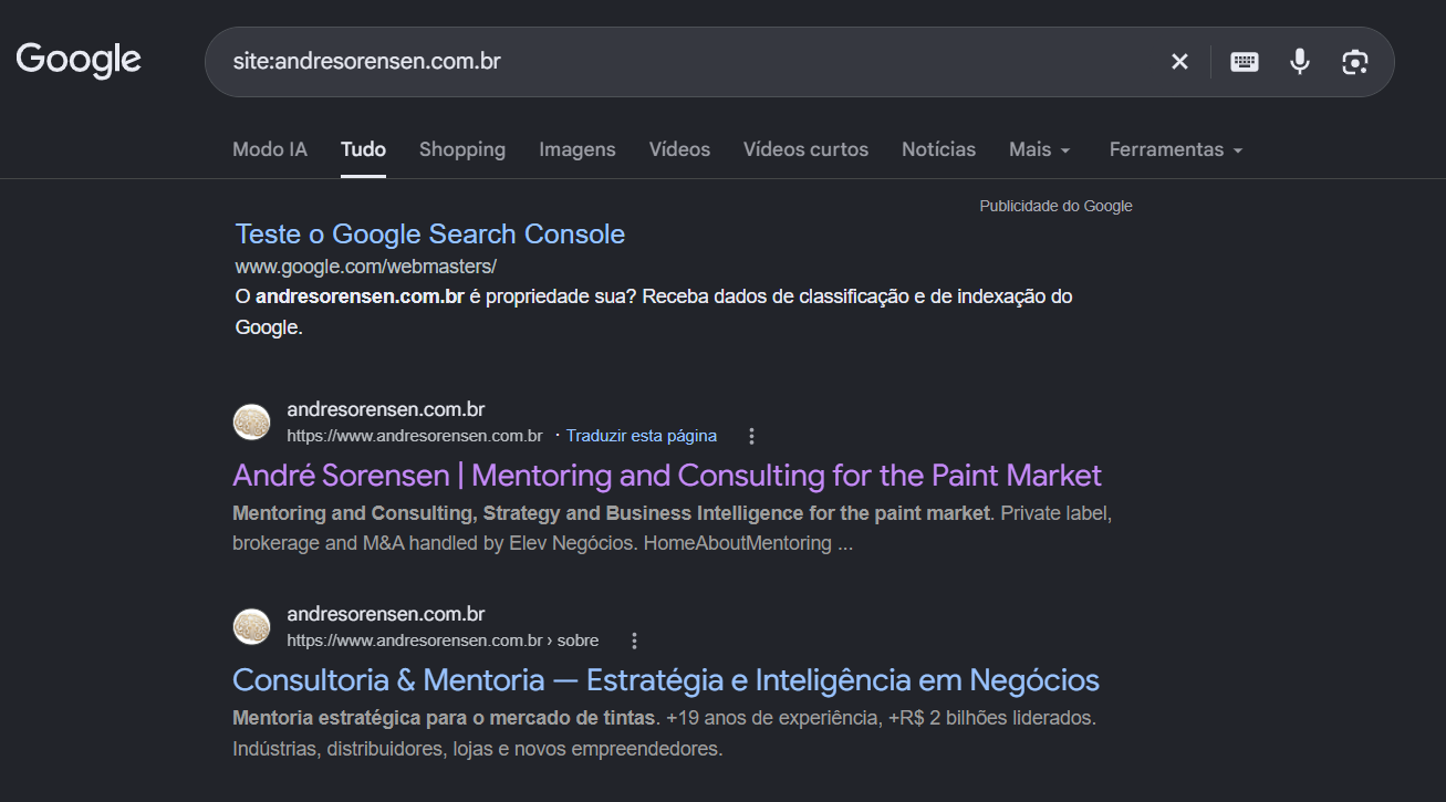 Resultado da busca site:andresorensen.com.br no Google com duas páginas