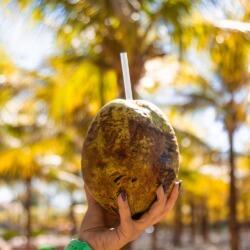 Suco