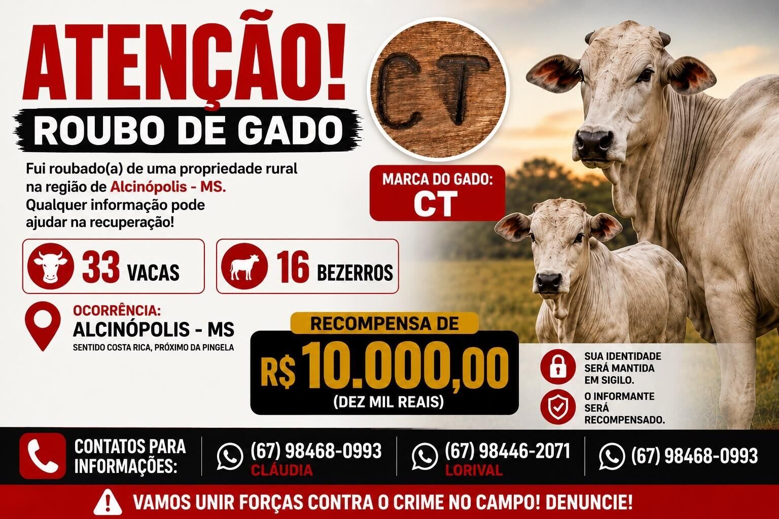 Imagem ilustrativa da matéria Furto de 49 animais mobiliza produtor e gera recompensa de R$ 10 mil em Alcinópolis