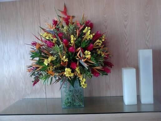 Imagem da notícia Enquanto cidade enfrenta desafios, Prefeitura de Costa Rica lança licitação de R$ 1 milhão para decoração e flores