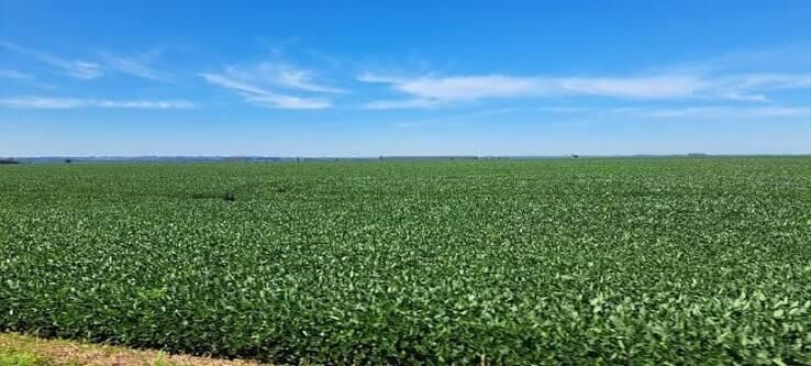 Imagem ilustrativa da matéria Investimentos em logística podem reduzir custos do agro em até 26% e fortalecer escoamento da produção no Norte de MS