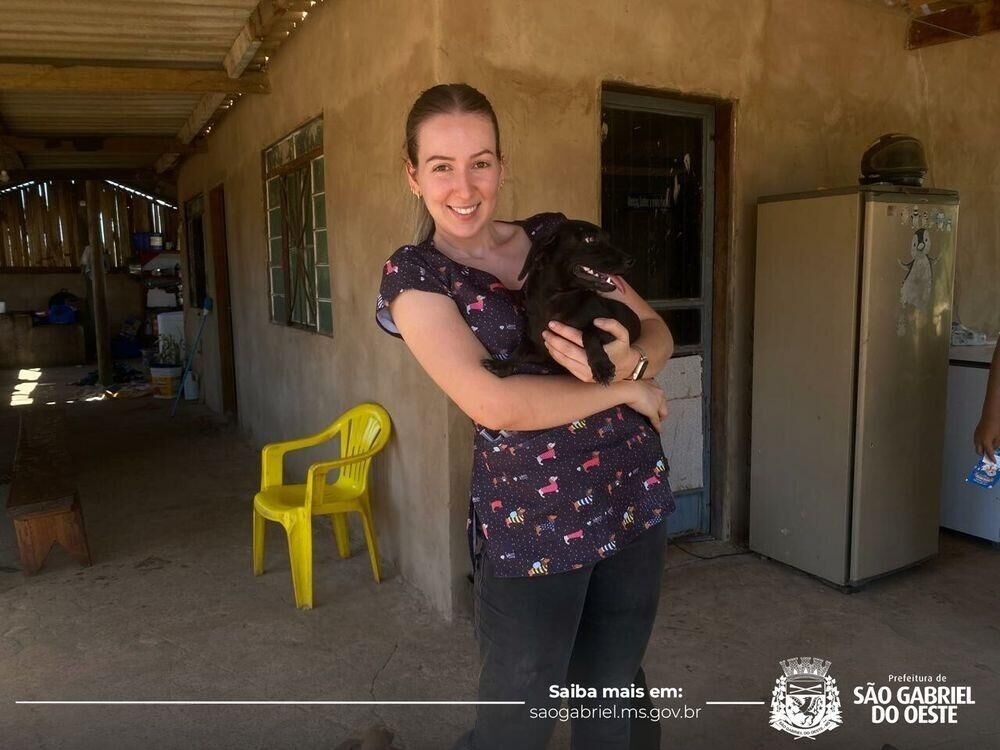 Ilustração da notícia São Gabriel do Oeste amplia vacinação de cães e gatos em comunidades rurais da MS Todo dia