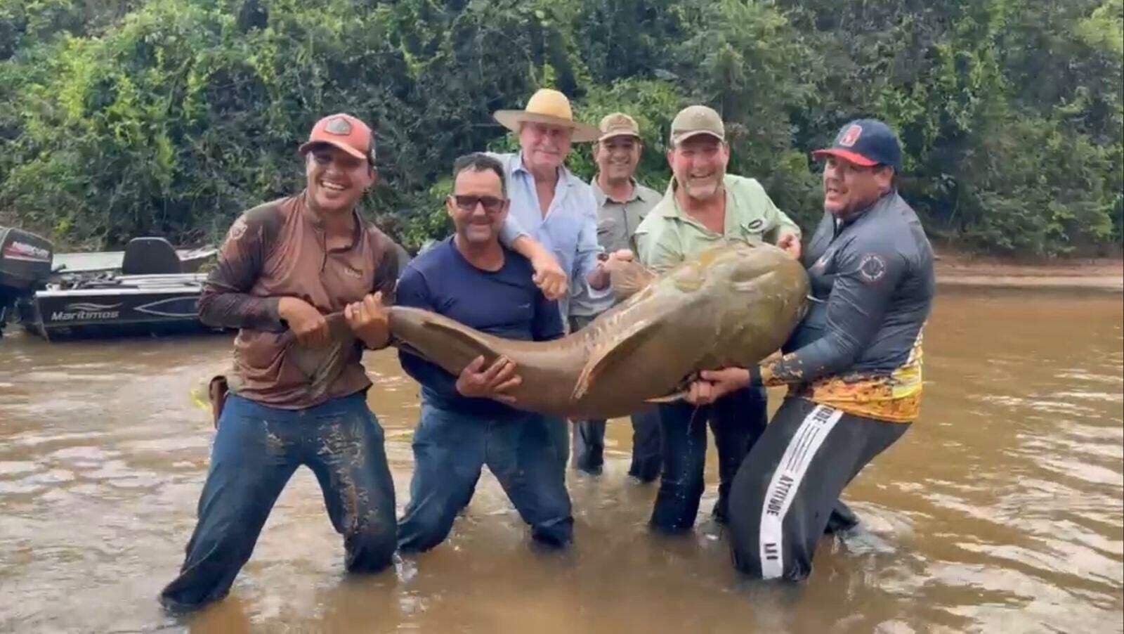Ilustração da notícia Pescador de Costa Rica fisga jaú de cerca de 80 quilos no Rio Taquari, em Alcinópolis da MS Todo dia