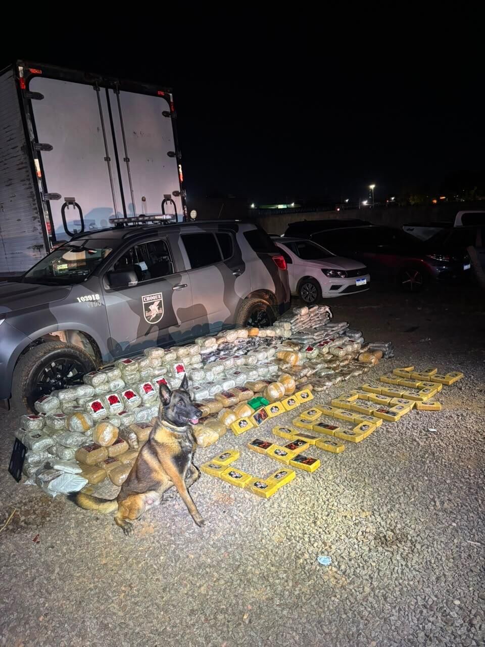 Imagem da notícia Choque apreende 365 kg de drogas e causa prejuízo de R$ 7,1 milhões ao tráfico em Campo Grande