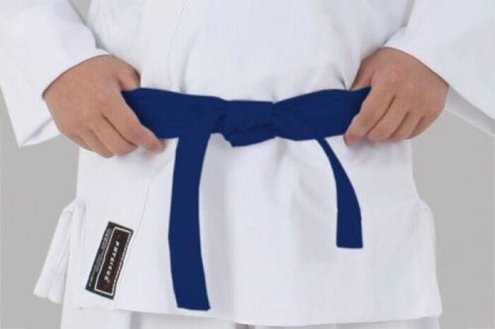Imagem de Faixa Especial para Kimono Infantil – M1