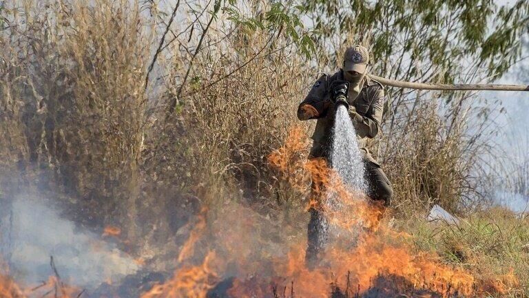 Ilustração da notícia Paraíso das Águas alerta população para risco de incêndios durante período de seca da MS Todo dia