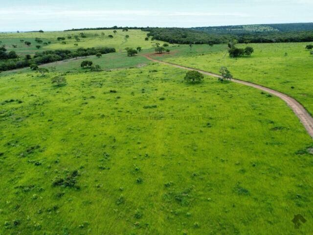Ilustração da notícia MP investiga supressão irregular de mais de 32 hectares de vegetação nativa em fazenda de Camapuã