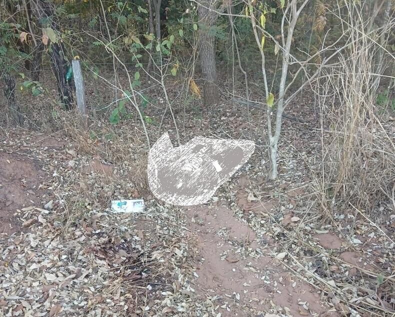 Ilustração da notícia Homem é encontrado decapitado e com braços amarrados em área de mata, em Sonora da MS Todo dia