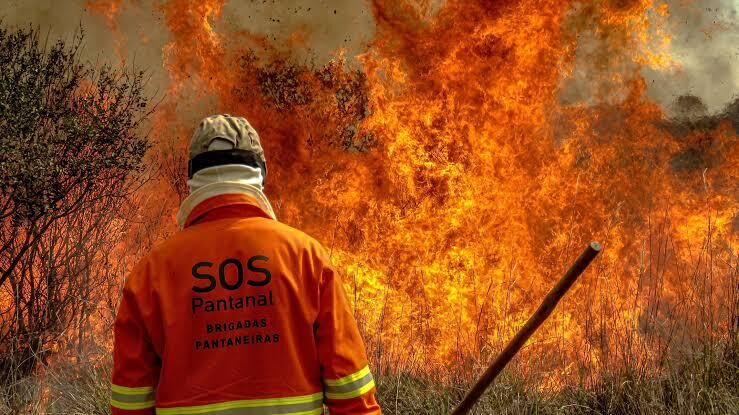 Imagem ilustrativa da matéria MS entra em alerta para incêndios florestais, apontam Cemtec e Corpo de Bombeiros