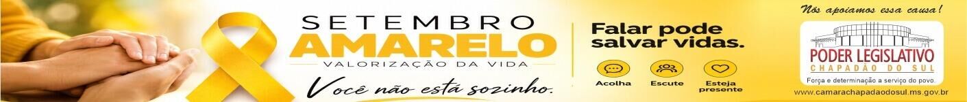 CHAPADAO DO SUL CAMARA