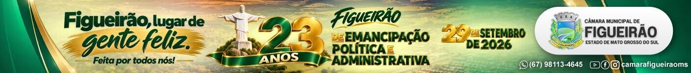 CÂMARA DE FIGUEIRÃO