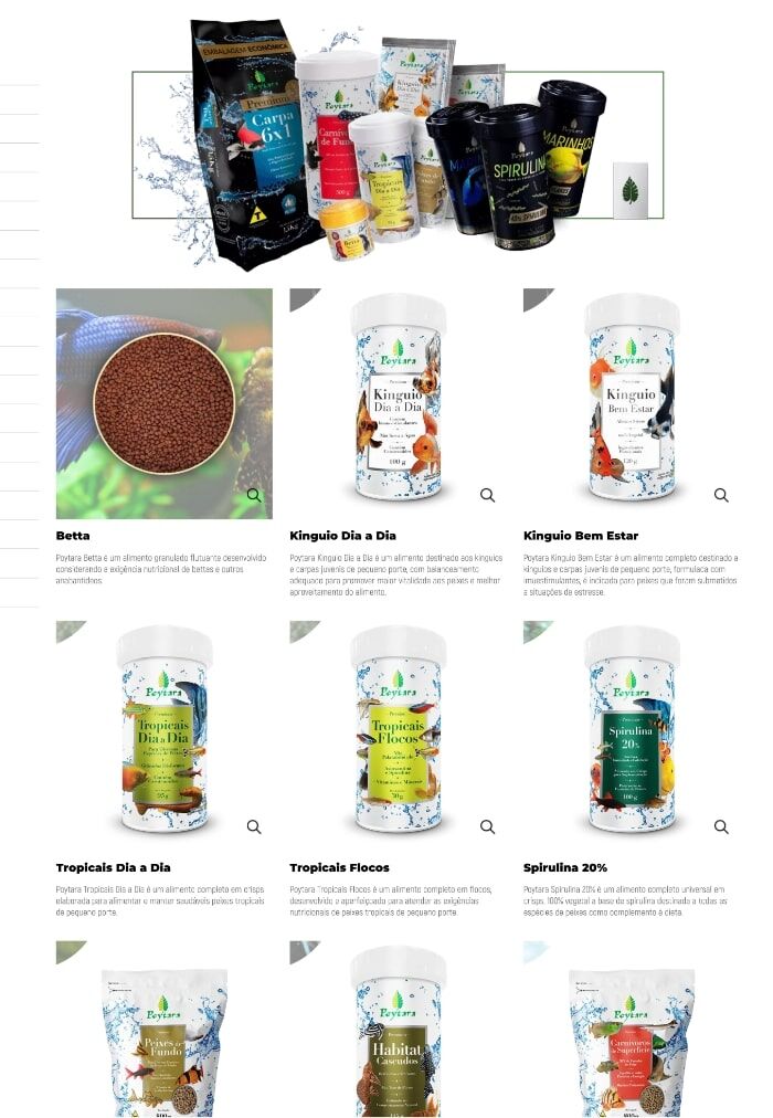 Poytara - Um projeto da Eco Webdesign