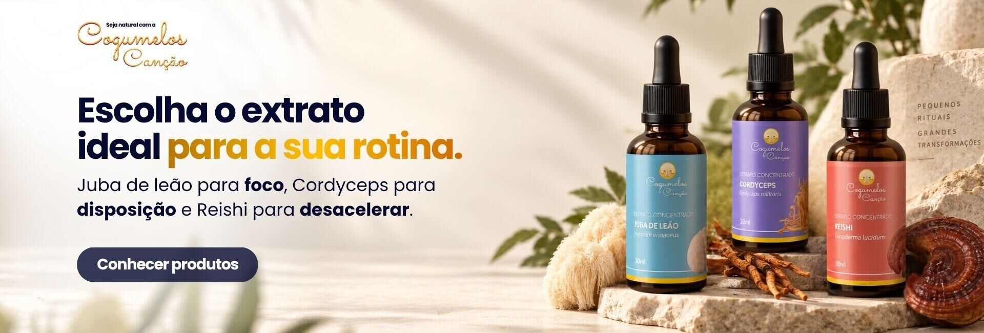 Banner Institucional - Cogumelos Canção