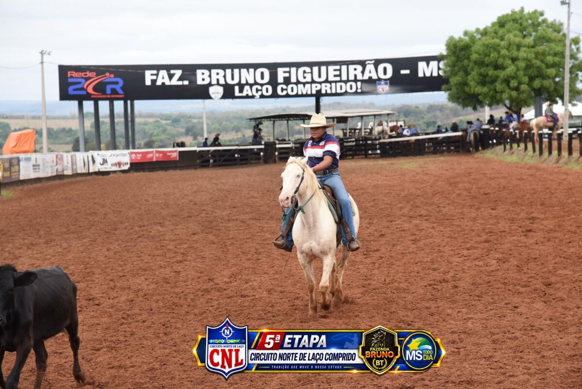 Imagem da Galeria