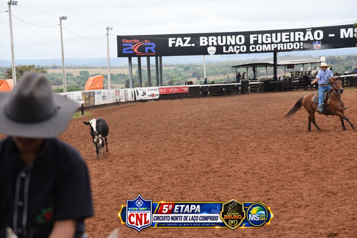 Imagem da Galeria