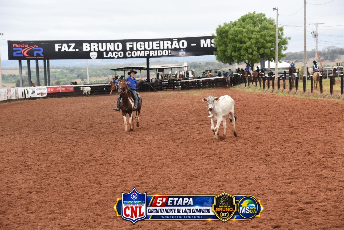 Imagem da Galeria