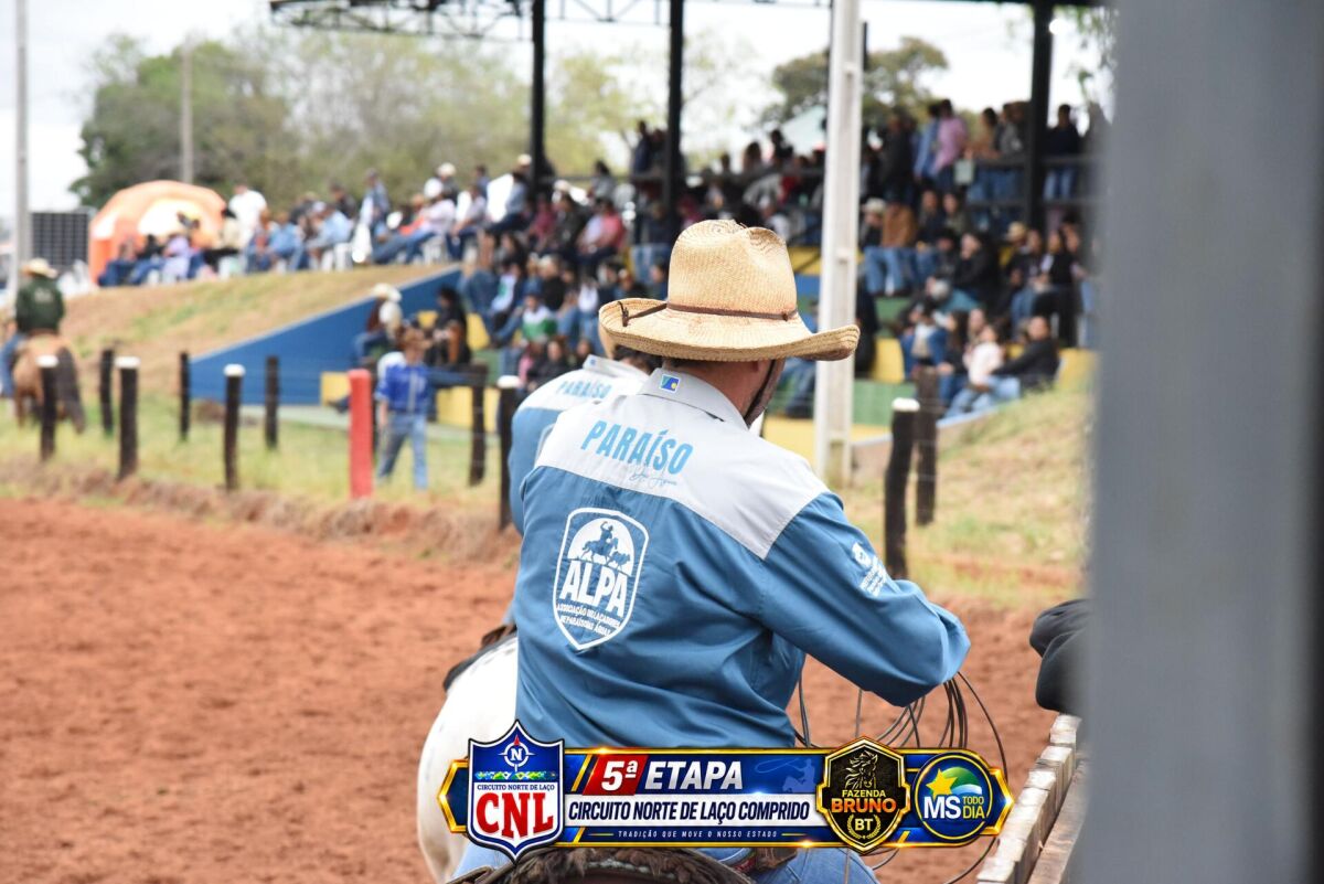 Imagem da Galeria