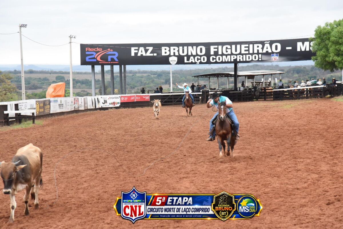 Imagem da Galeria