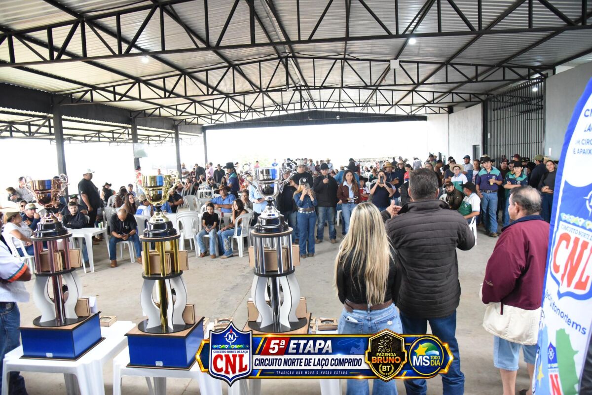 Imagem da Galeria