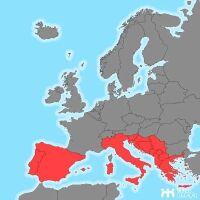 Imagem principal do artigo Portugal, Espanha e Itália tem um incio de temporada 2026-2027 pela otimista.