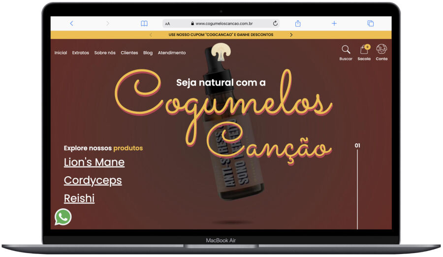 cogumelos cancao