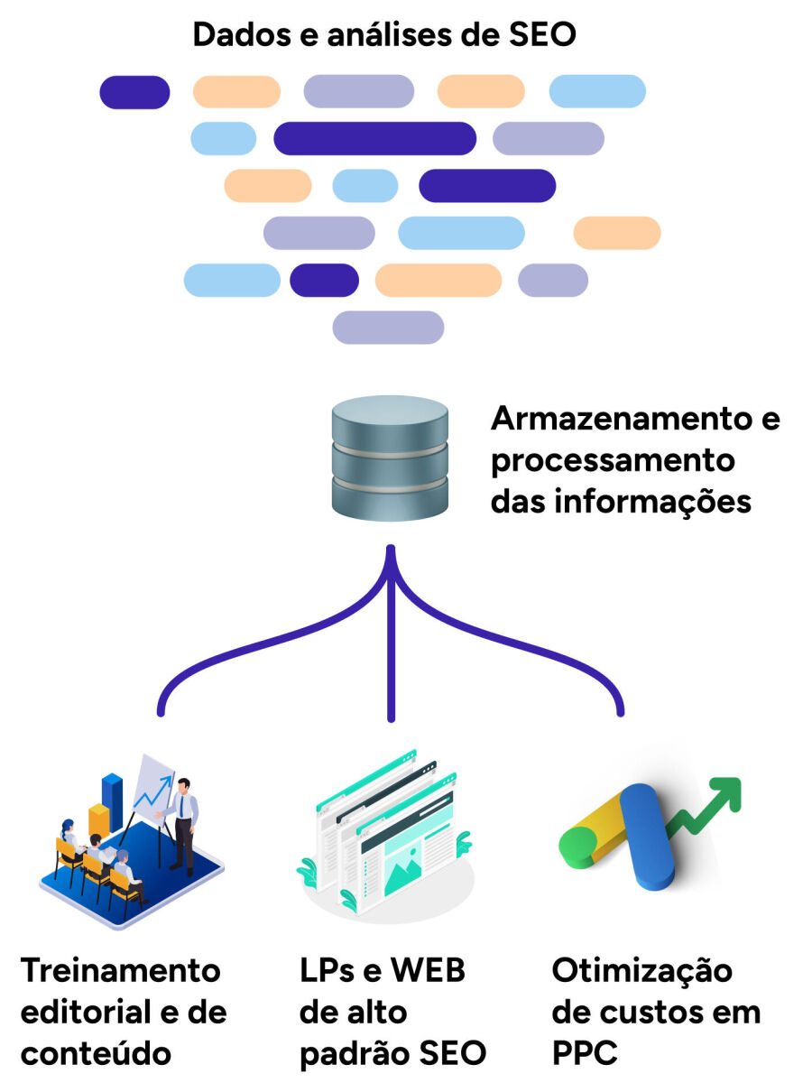 seo proc dados