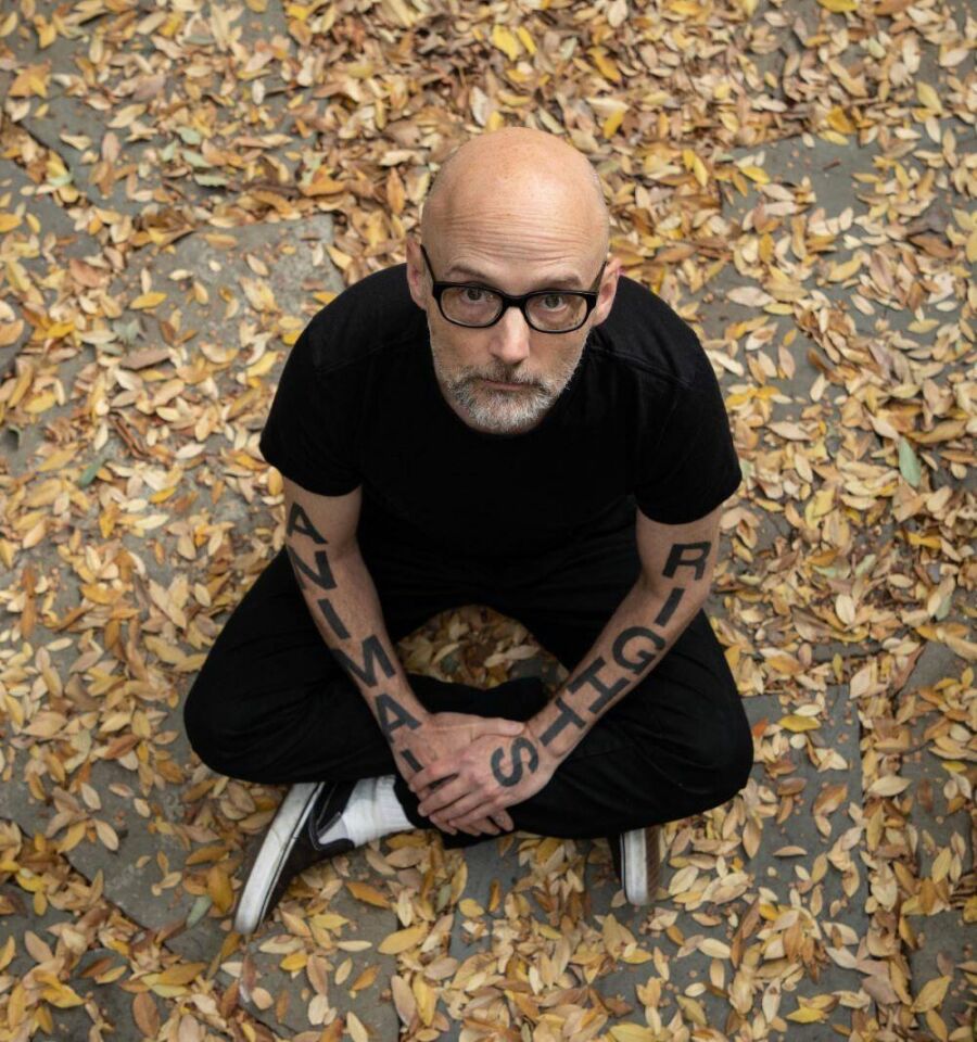 Imagem moby-sempre-engajado-com-a-causa-animal