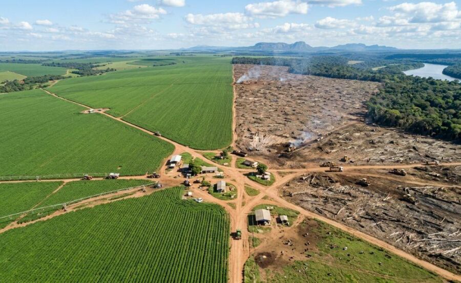 Image A: Most of the world's soy doesn't feed people, it feeds animals destined for human consumption.