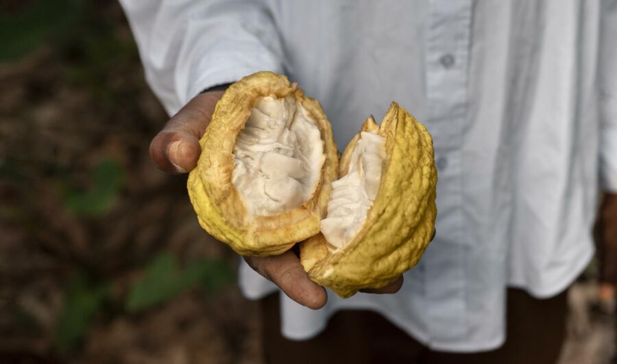 Imagem mao-segurando-frutas-abertas-de-perto
