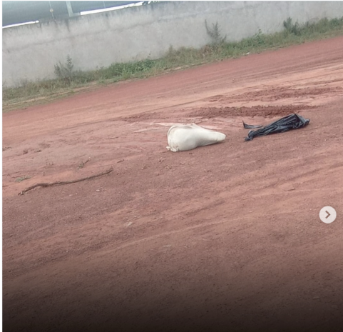 Imagem da notícia Corpo é encontrado dentro de saco em estrada de terra em Coxim