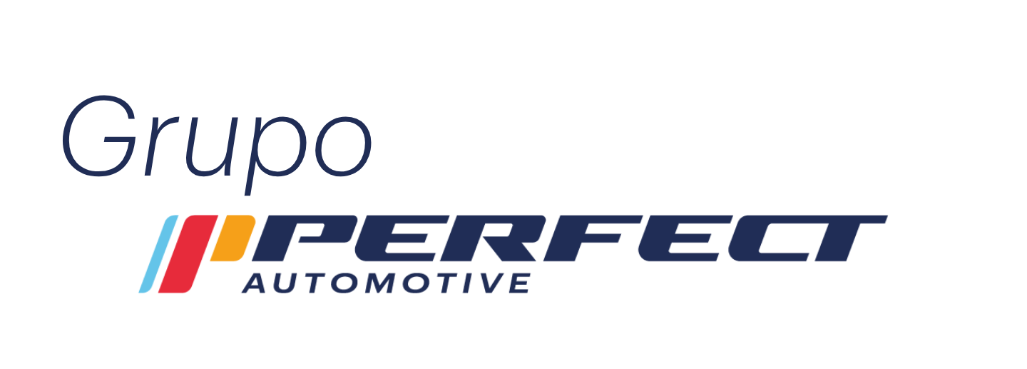 logo grupo Perfect