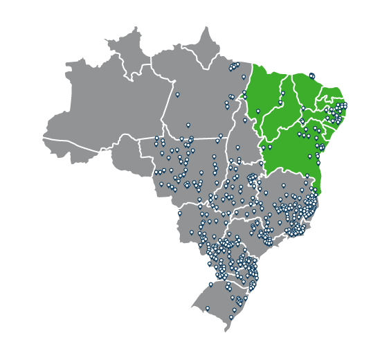 Mapa da presença da Rede ANCORA no Brasil em 2024