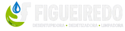 Figueiredo