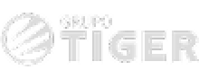 Logo Grupo Tiger