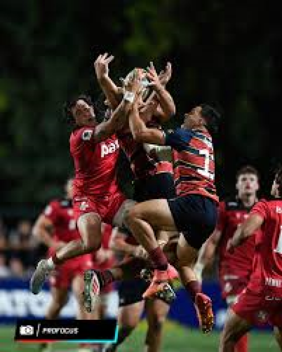 Imagem RugbyPampasDogosBr