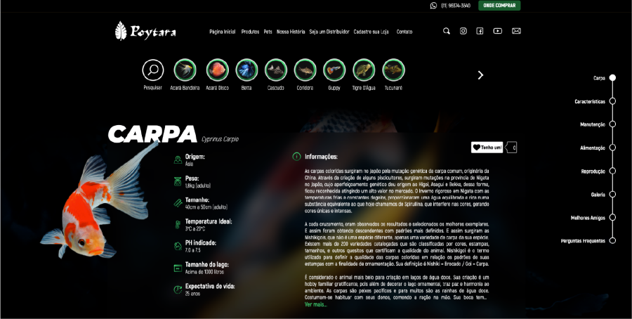 Página inicial do site Poytara, projeto da Eco Webdesign