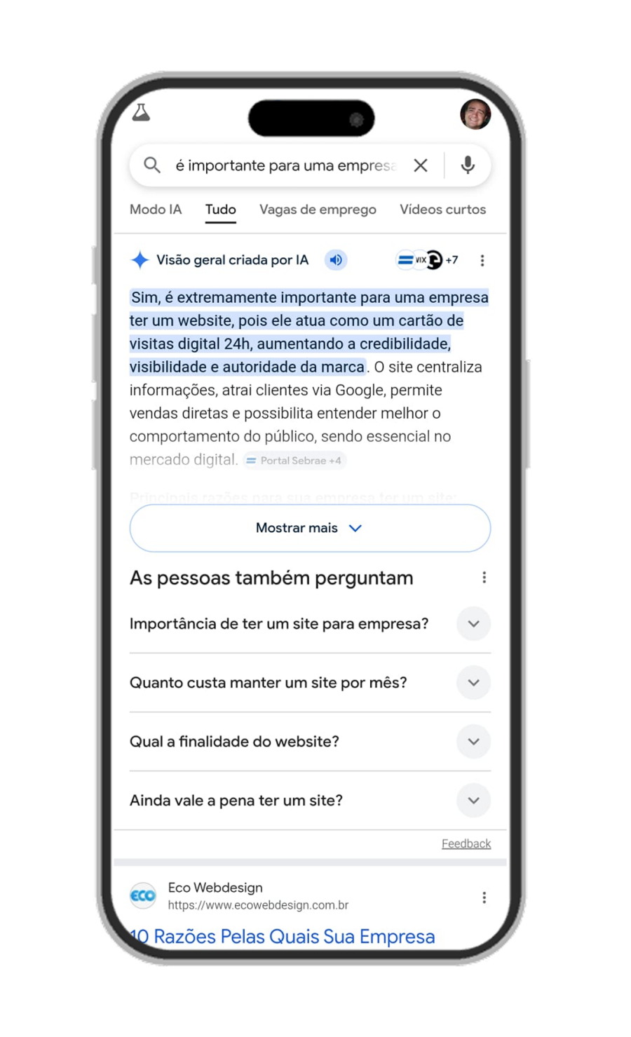 Imagem ai_overview_exemplo