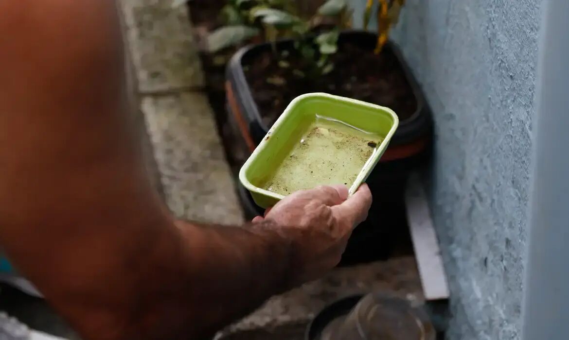 Imagem da notícia El Niño pode aumentar casos de chikungunya e dengue no Brasil