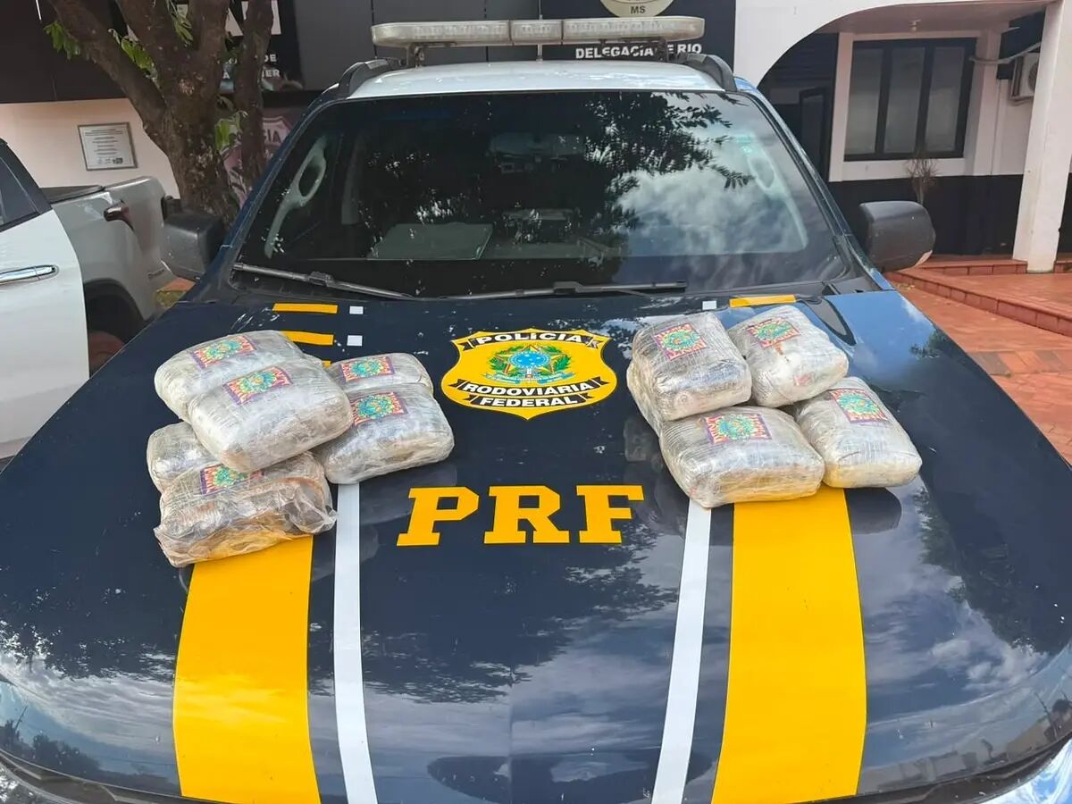 Imagem da notícia PRF apreende carga de skunk e prende mulher na BR-163 em Rio Verde de Mato Grosso