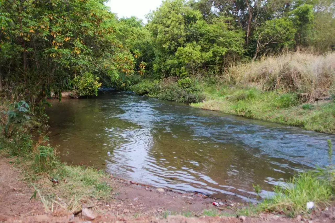 Imagem da notícia MP investiga danos ambientais em rancho às margens do Rio Verde, em Água Clara
