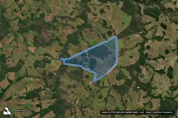 Ilustração da notícia MPMS investiga desmatamento de mais de 33 hectares em fazendas de Alcinópolis