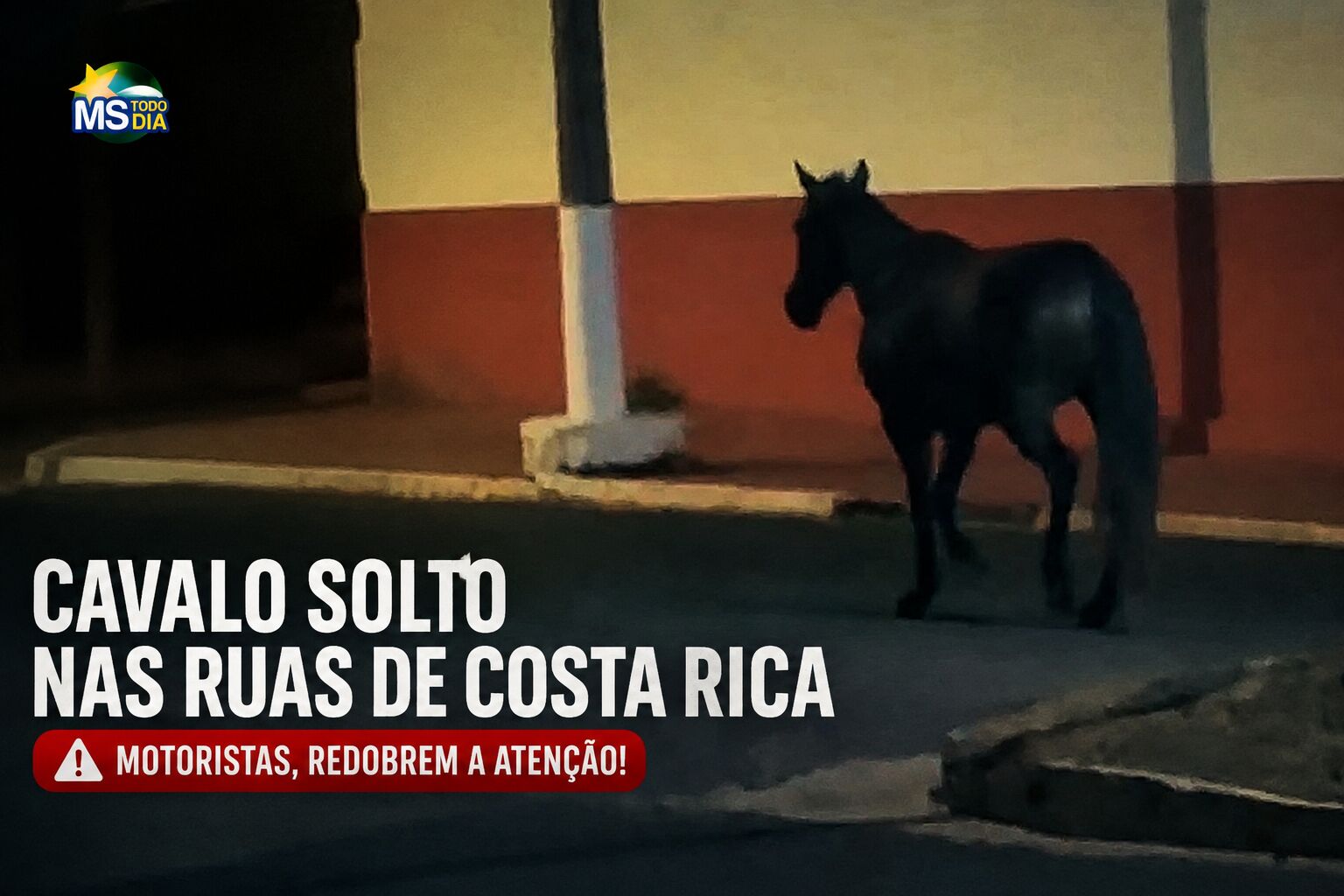 Imagem da notícia Cavalo solto durante a noite preocupa motorista e gera alerta em Costa Rica