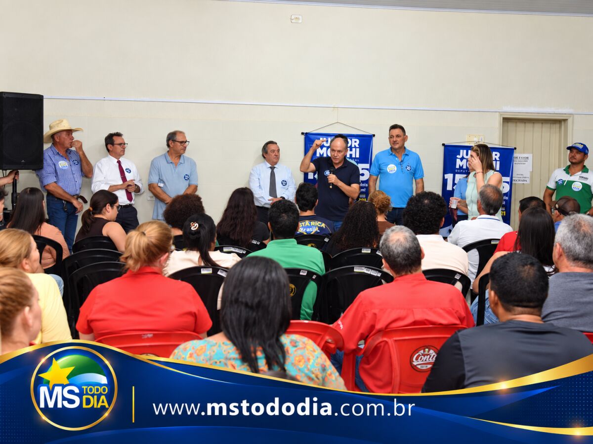 Imagem da Galeria
