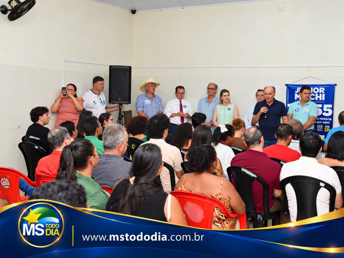 Imagem da Galeria