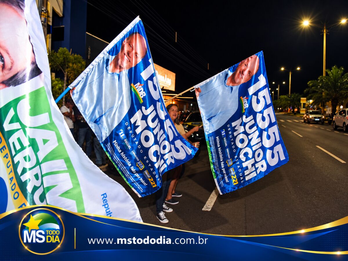 Imagem da Galeria