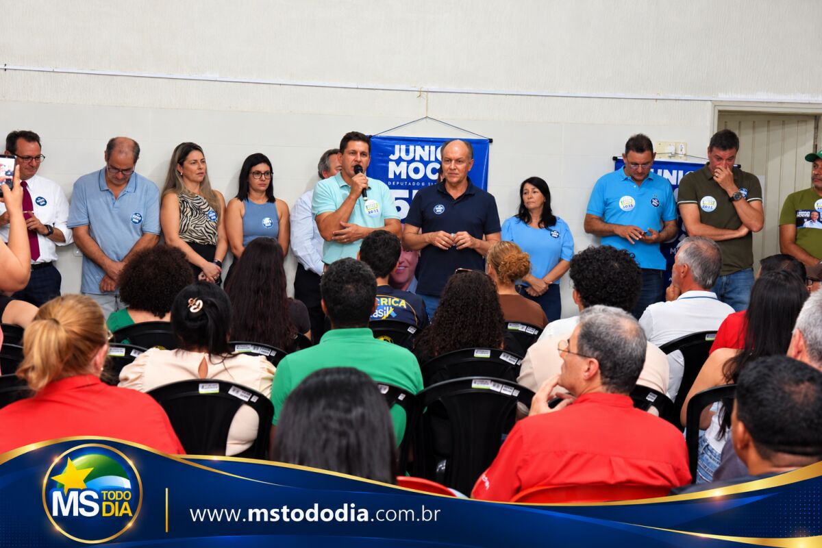 Imagem da Galeria