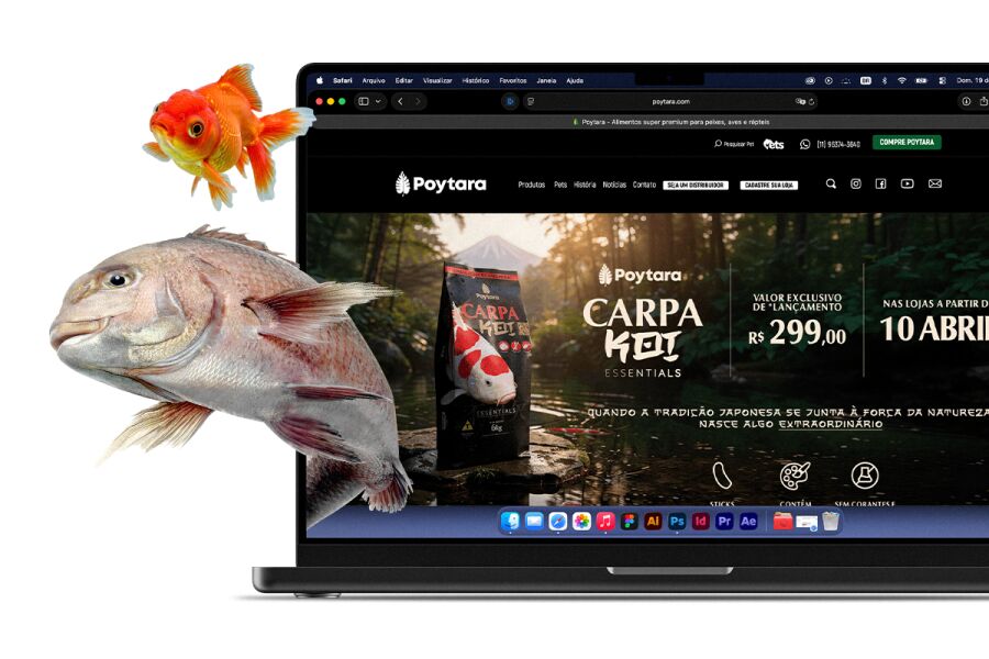 Imagem poytara_google-ads-ecowebdesign