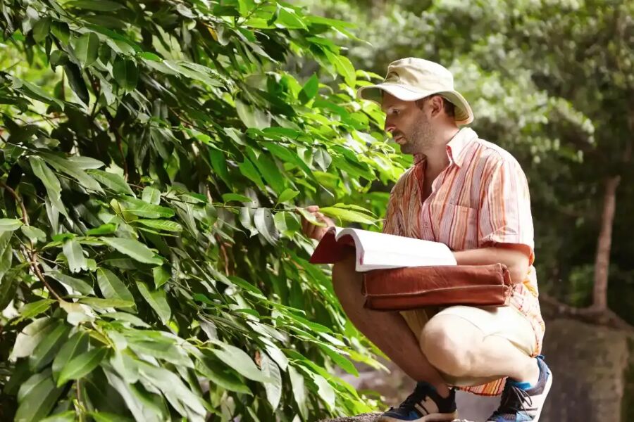 Imagem homem-anotando-informacoes-plantacao-arvore-frutifera