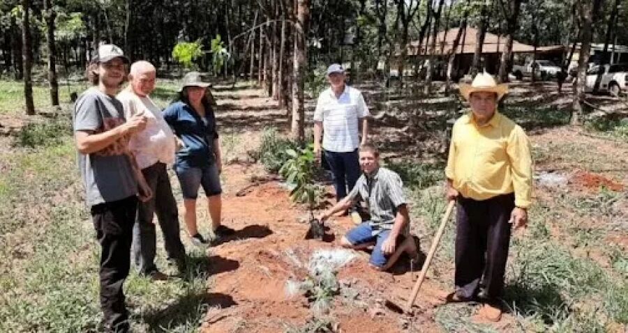 Imagem pessoas-plantando-arvores-ambientalismo-jpg